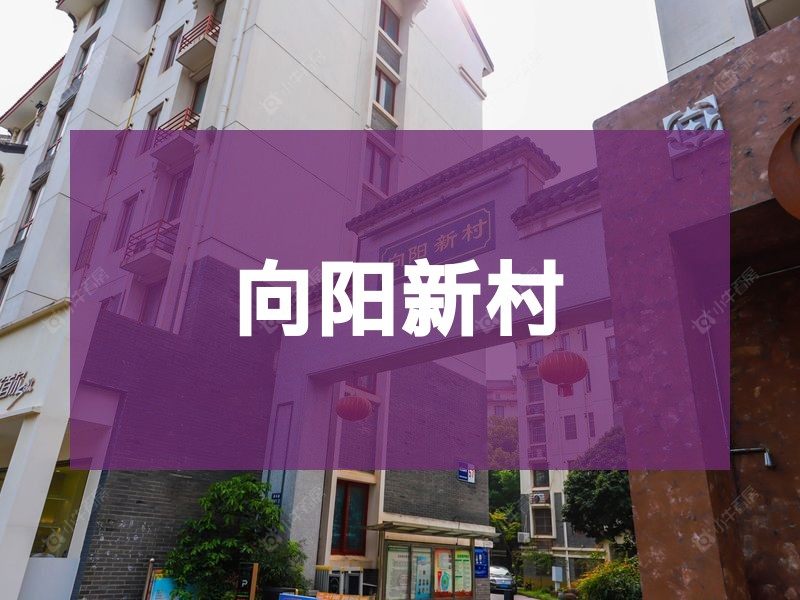 杨舍2026年3月人气小区测评之向阳新村