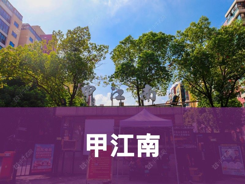 杨舍2026年3月人气小区测评之甲江南