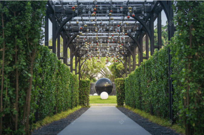 张家港万科绿化